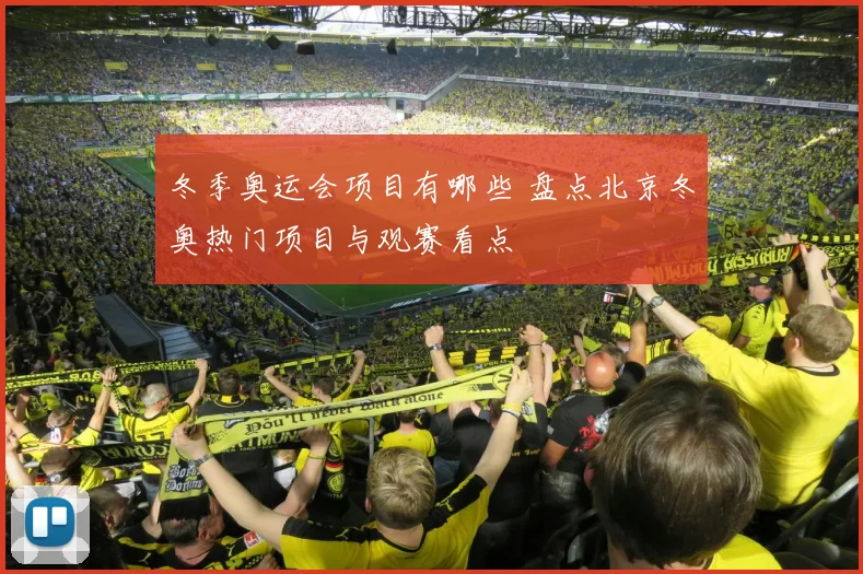 冬季奥运会项目有哪些 盘点北京冬奥热门项目与观赛看点