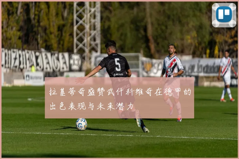 拉基蒂奇盛赞武什科维奇在德甲的出色表现与未来潜力